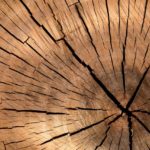 Holz-ist-ein-naturprodukt