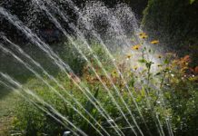 garten-bewässerung-sprinkler