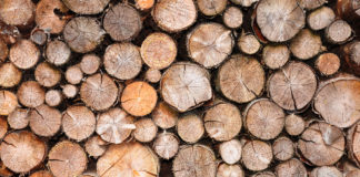 Unterstand für Brennholz