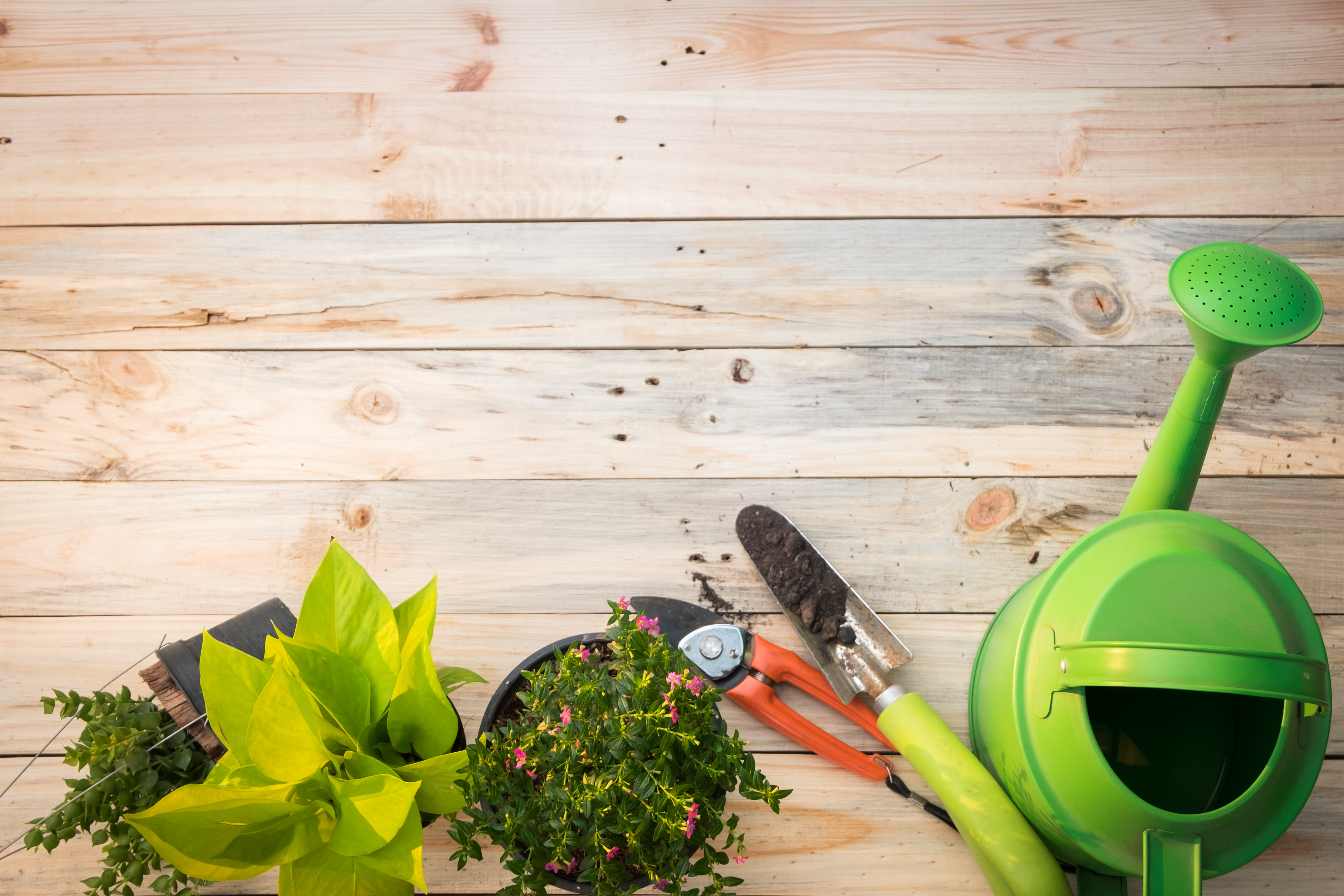 Tag der (Garten)arbeit - Gartenarbeit kennt keine Feiertage