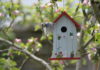 Vogelhaus freihängend im Garten