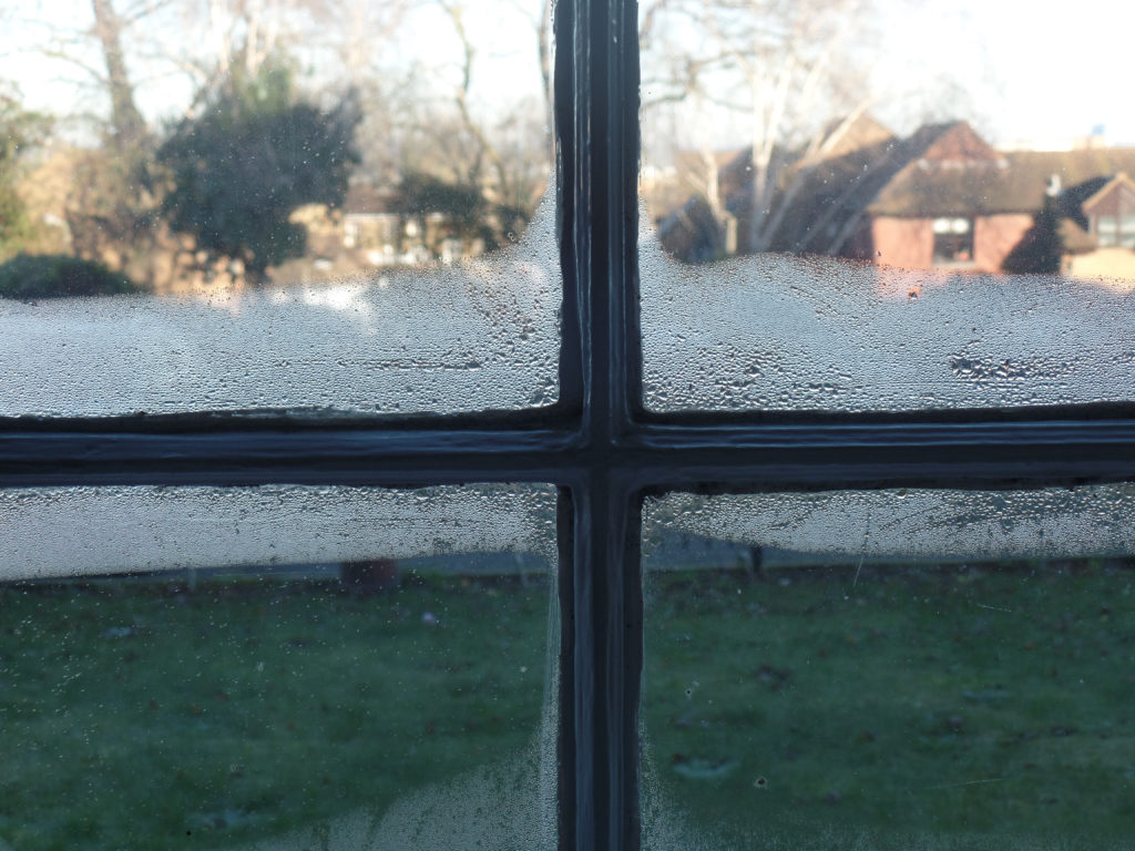 Schimmel im Gartenhaus Vorbeugung Maßnahmen gegen